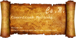 Csernicsek Melinda névjegykártya